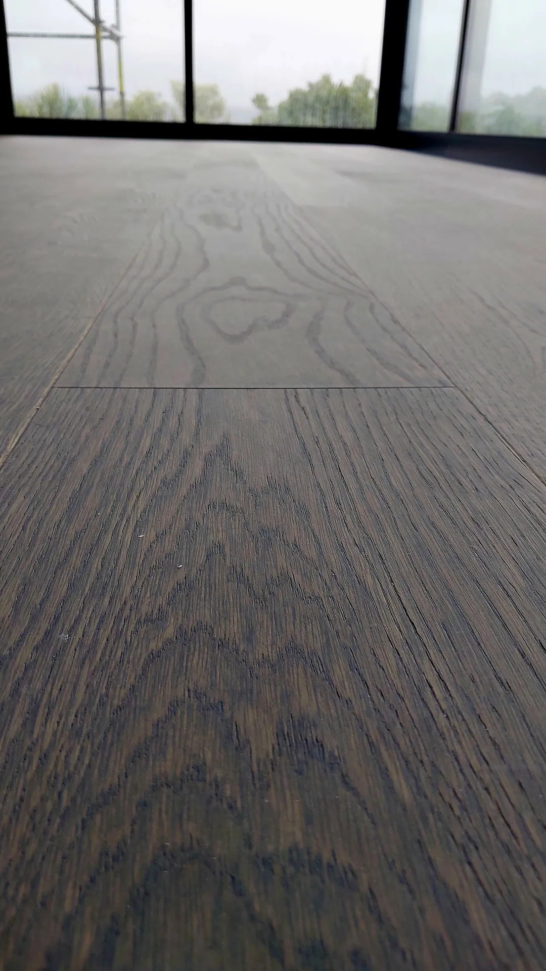 A low close-up of dark stained oak boards showing the grain and a tight board joint, with windows behind.
