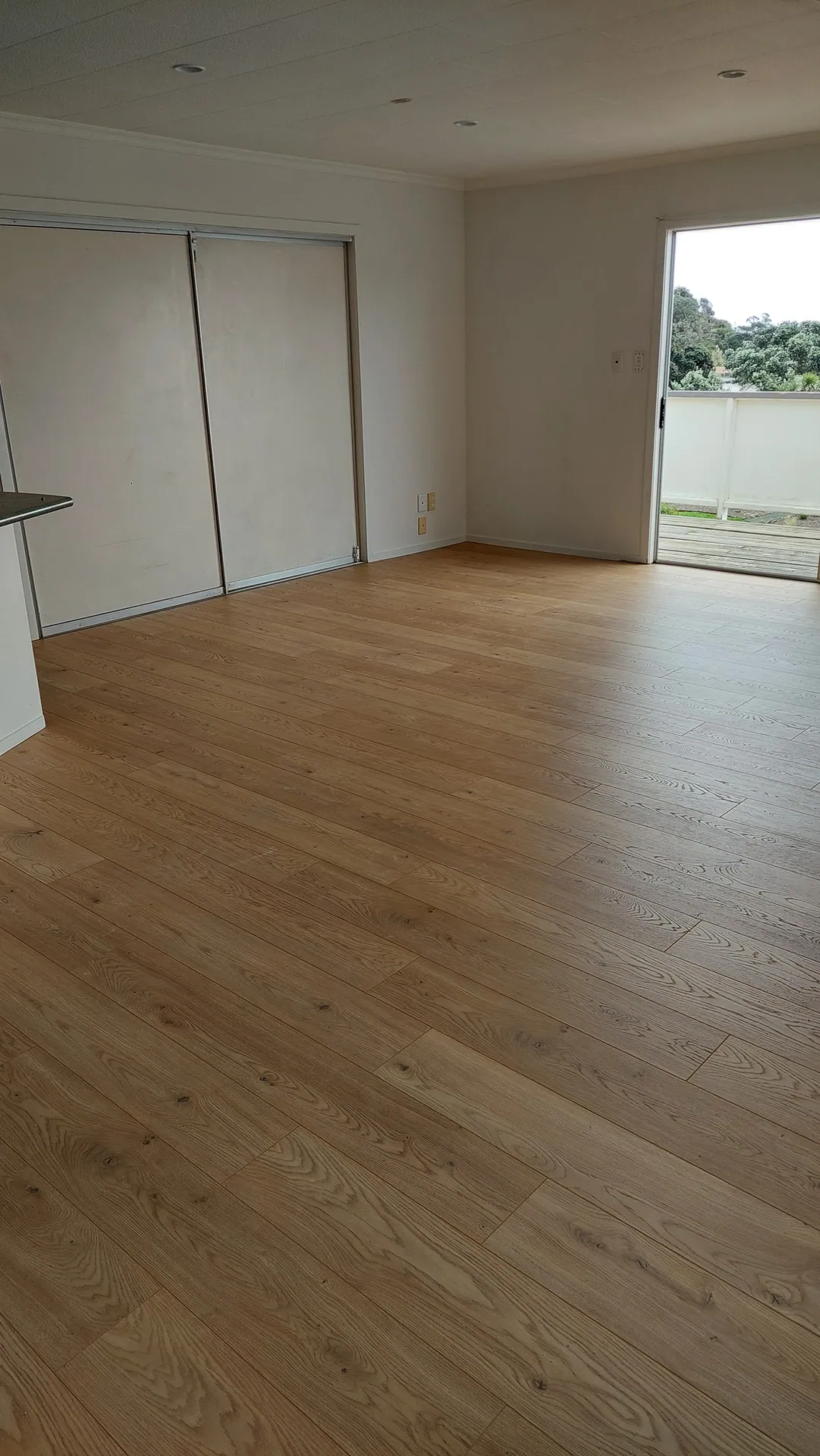 An empty living room with a honey-toned oak floor, sliding wardrobe doors and an open door to a deck.